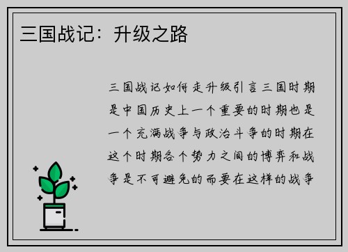 三国战记：升级之路